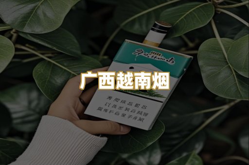 广西越南烟